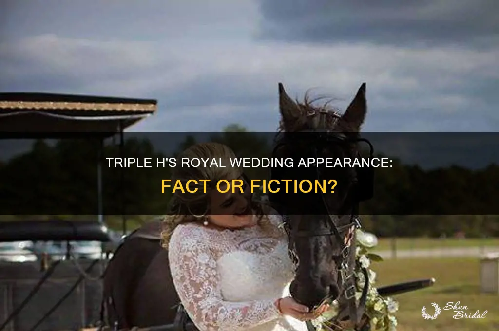 was triple h at royal wedding