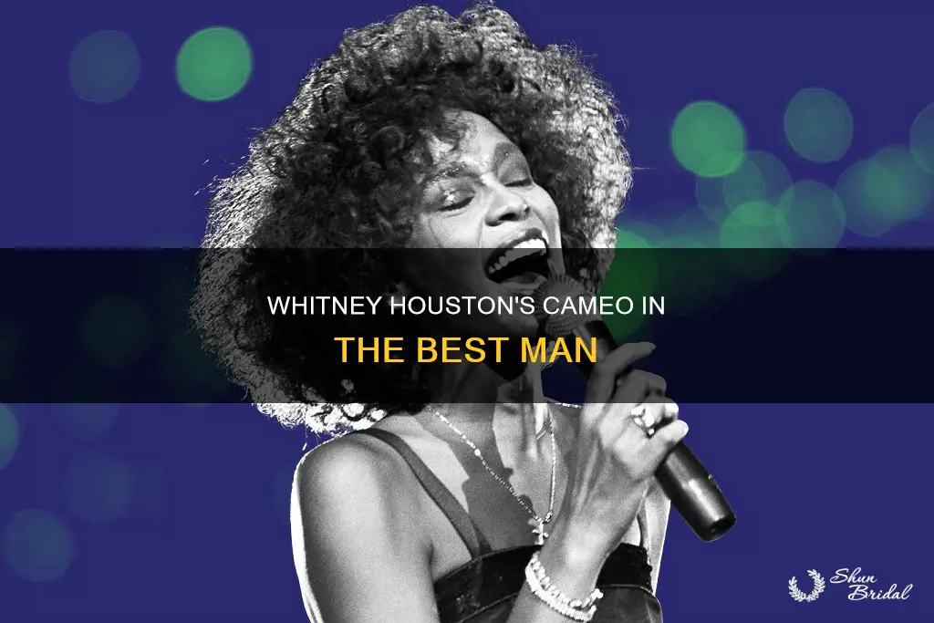 was whitney houston in the best man