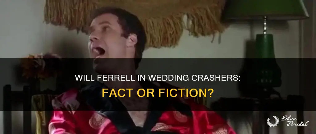 was will farrel in wedding crashers