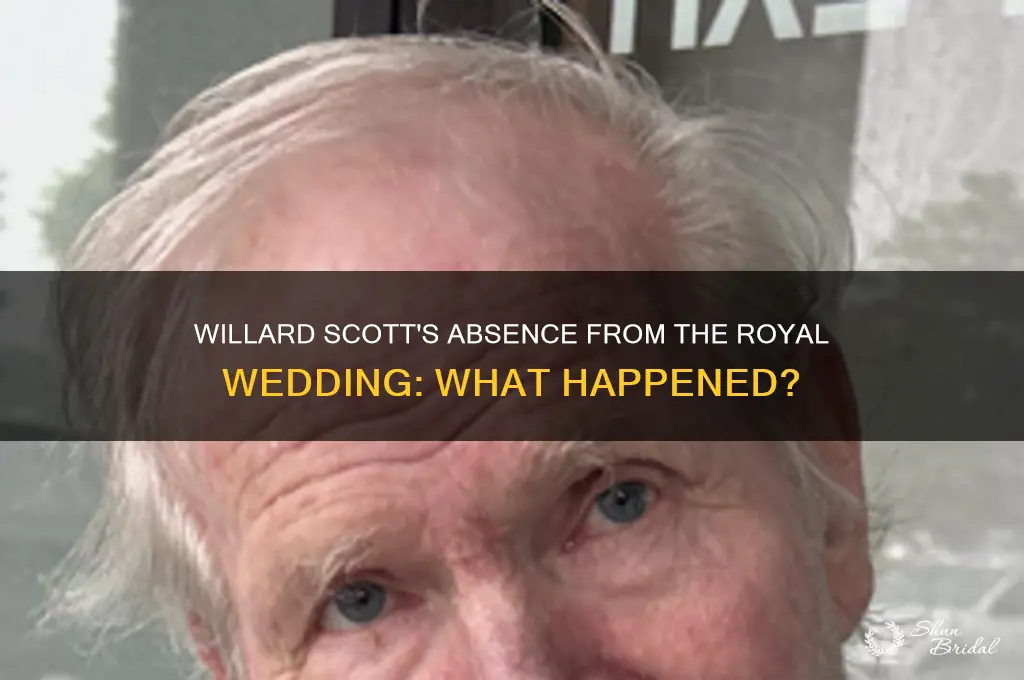 was willard scott at the recent royal wedding this weekend