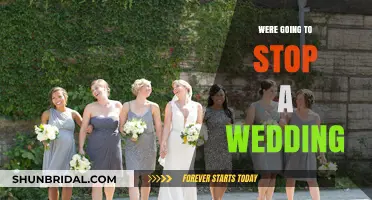 Halting the Vows: The Dramatic Decision to Stop a Wedding