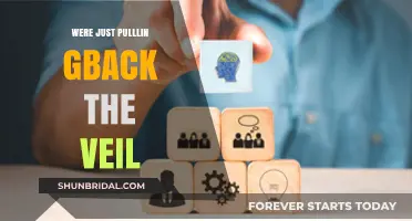 Unveiling the Unknown: Pulling Back the Veil on Hidden Truths
