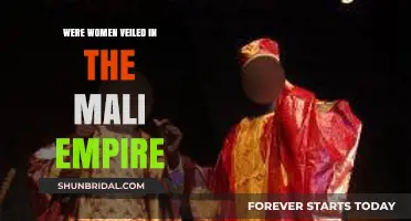 Veiled Traditions: Exploring Women's Attire in the Mali Empire