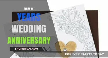 Celebrating Two Decades of Love: The 20th Wedding Anniversary Guide