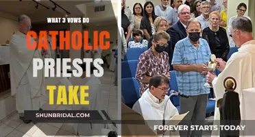 Catholic Priesthood Vows: Chastity, Poverty, and Obedience Explained