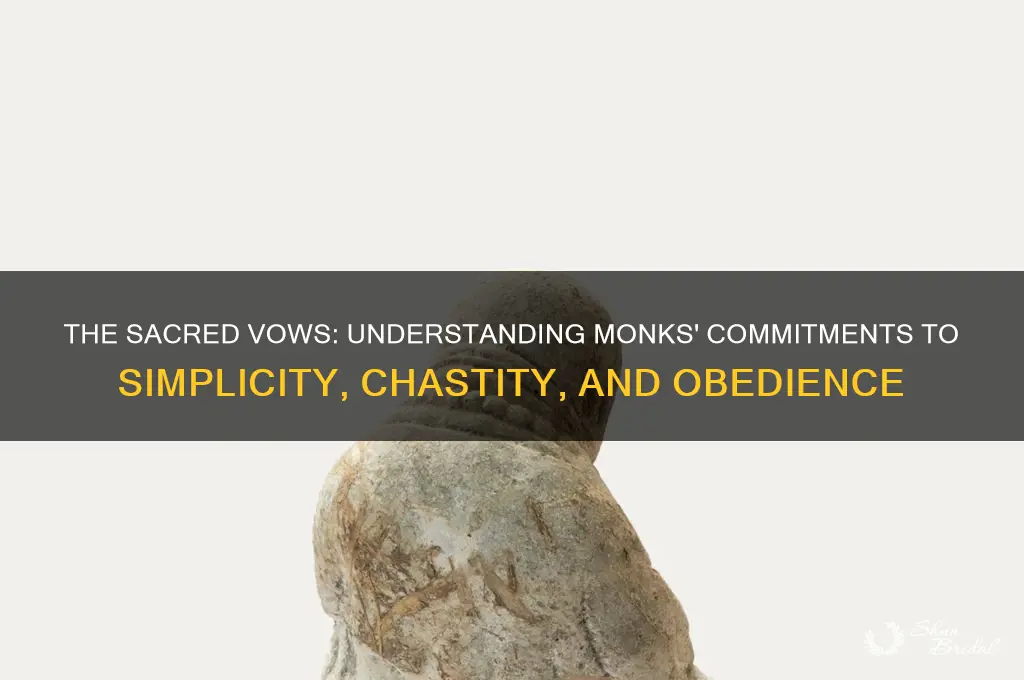 what 3 vows do monks take