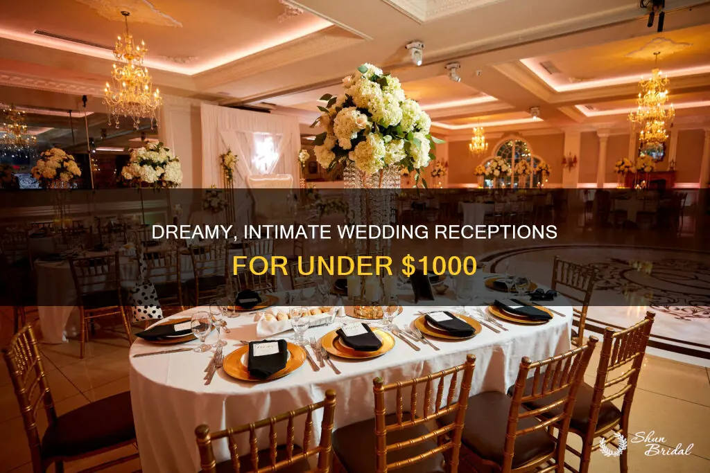 what a 1000 wedding reception look like