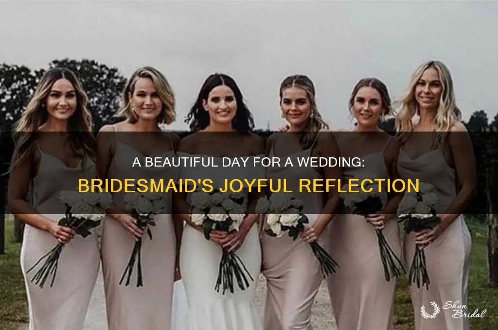 what a beautiful day for a wedding said the bridesmaid