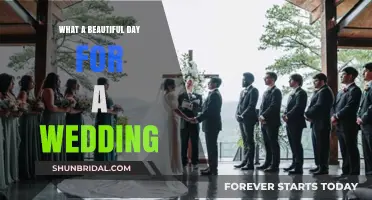 Perfect Wedding Weather: Celebrating Love on a Beautiful Day