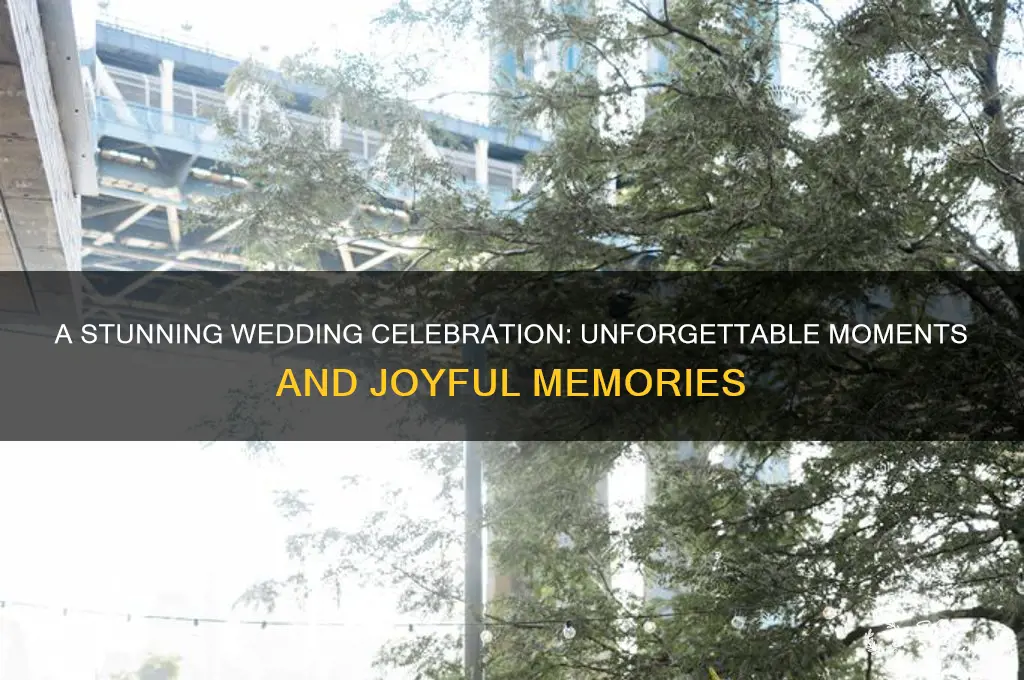 what a beautiful wedding havent you people