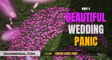 A Beautiful Wedding Panic: Chaos and Romance