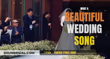 A Beautiful Wedding Song: Perfect Harmony for Your Special Day