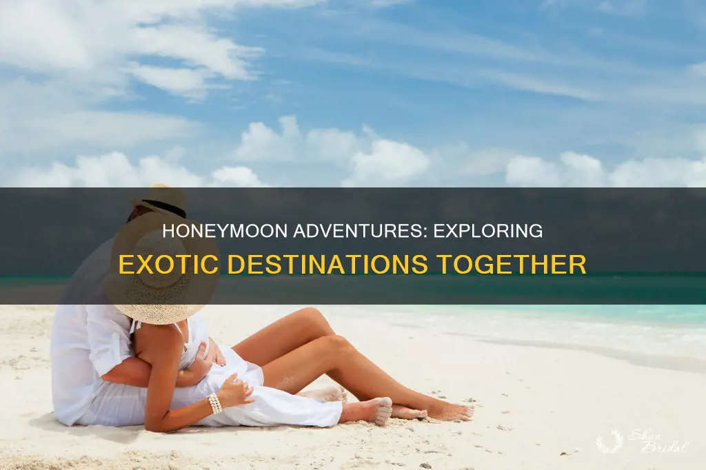 what a couple do on honeymoon