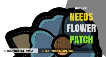 What a Girl Needs: Cultivating a Vibrant Flower Patch Guide