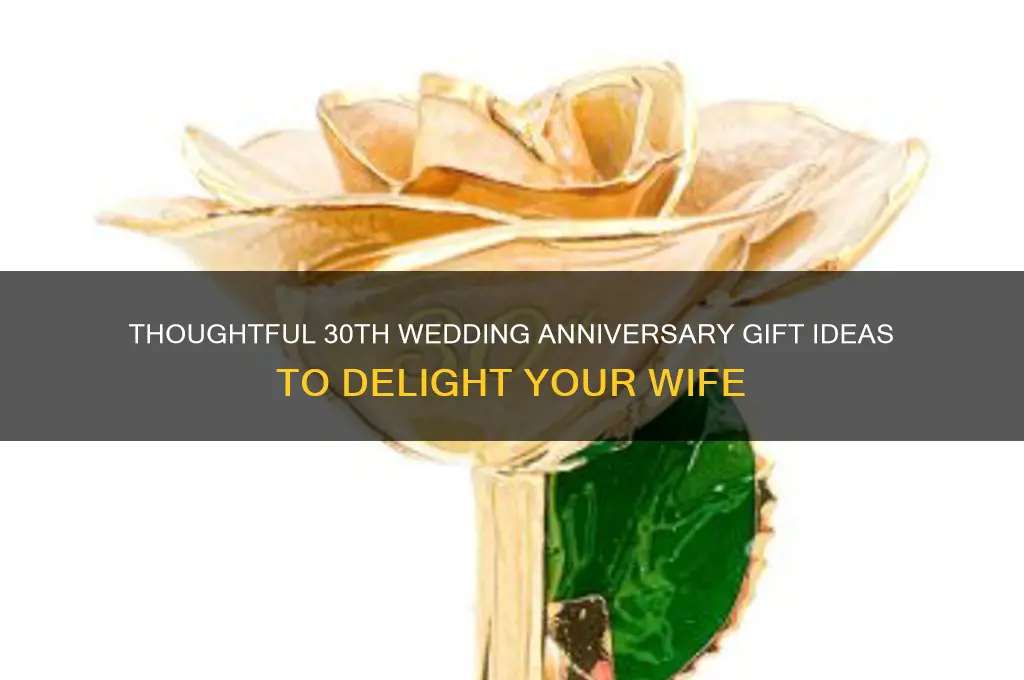 what a good anniversary gift for wife 30th wedding