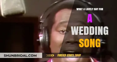 Perfect Wedding Day Vibes: A Song for Love and Celebration