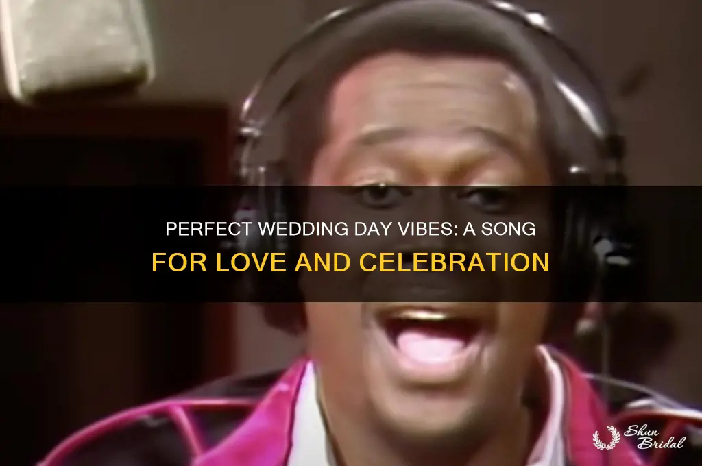 what a lovely day for a wedding song