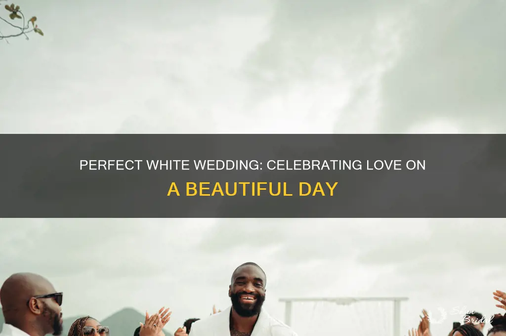 what a nice day for a white wedding