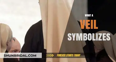 Unveiling Meanings: Exploring the Cultural and Symbolic Significance of Veils