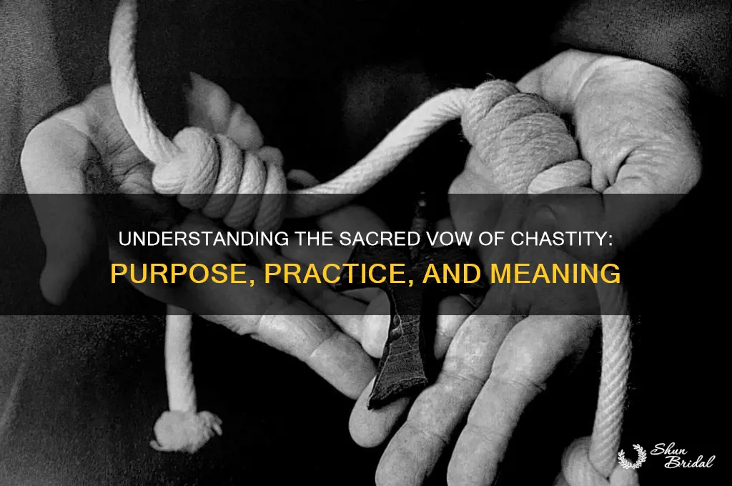 what a vow of chastity