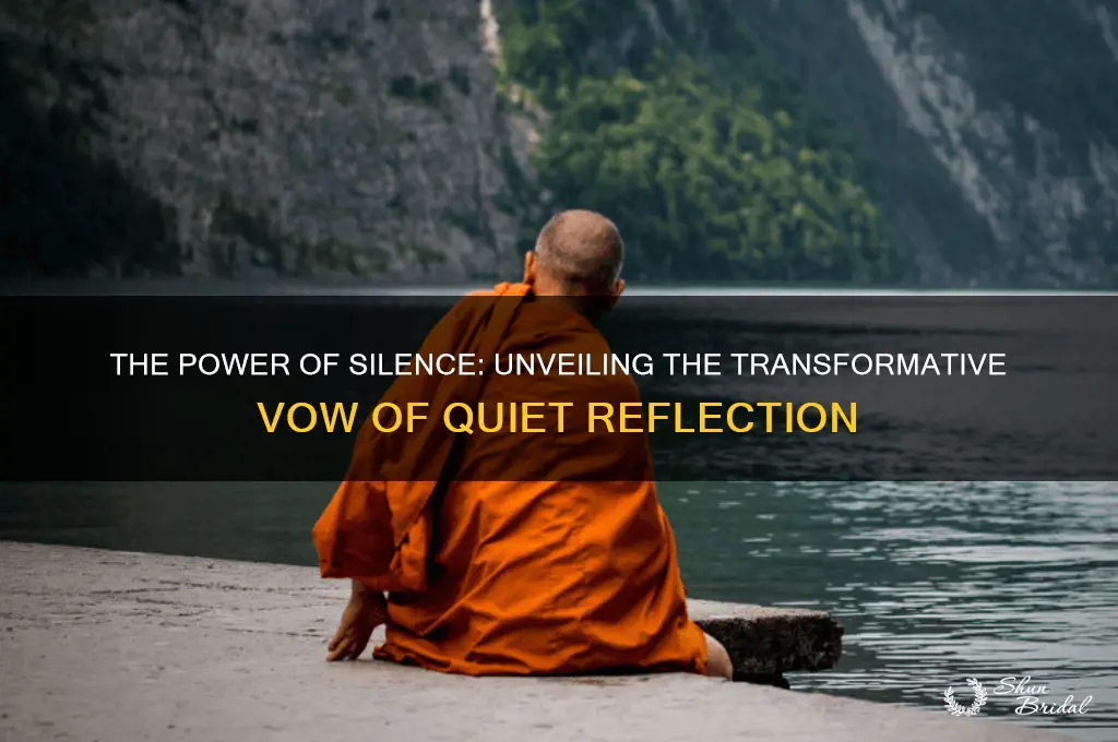 what a vow of silence