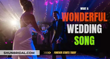 Wonderful Wedding Songs to Make Your Day Magical