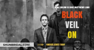 Long Black Veil: Dave Matthews' Album and Its Haunting Legacy