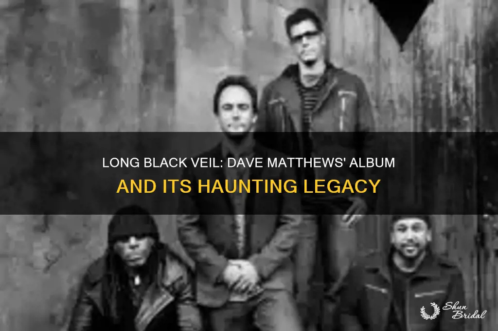 what ablum is dave matthews long black veil on