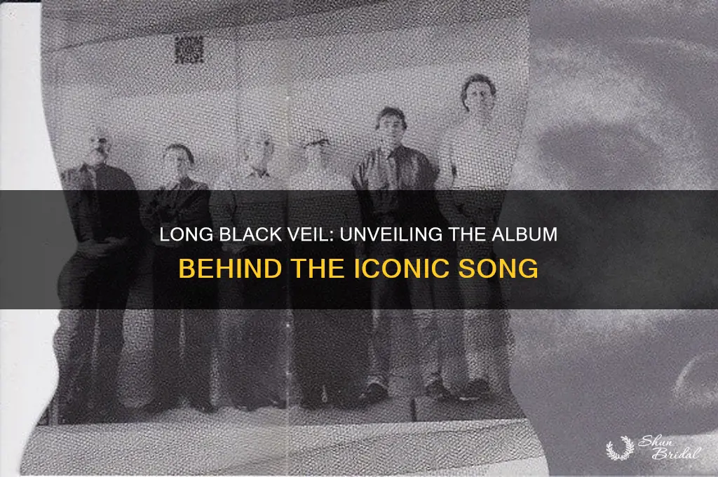what ablum is long black veil on