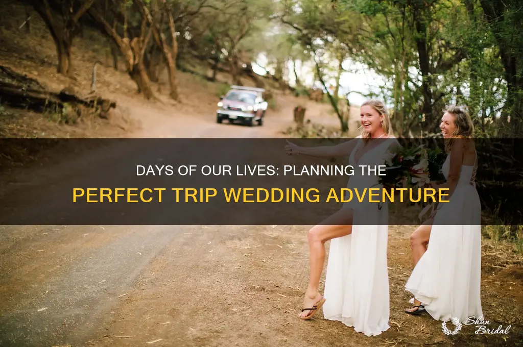 what about trip wedding on days of our lives
