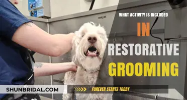Revitalize Your Grooming Routine: Restorative Practices for Optimal Pet Care