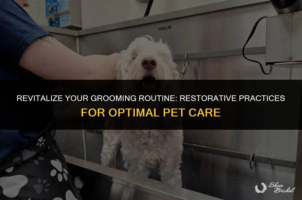 what activity is included in restorative grooming