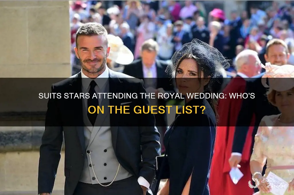 what actors from suits are going to royal wedding