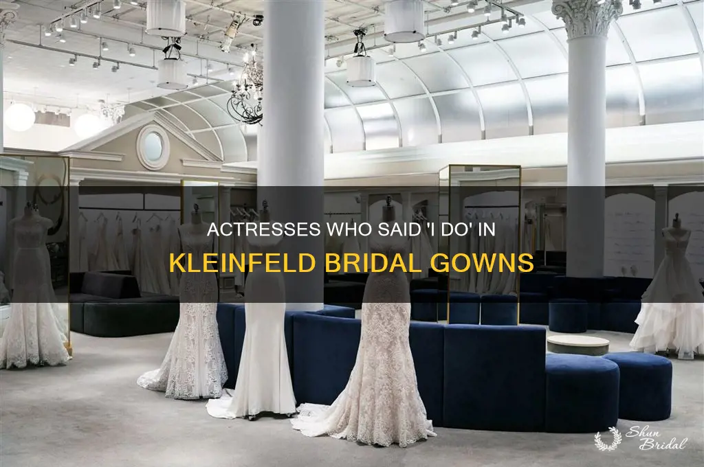 what actresses got their wedding gowns at kleinfelds