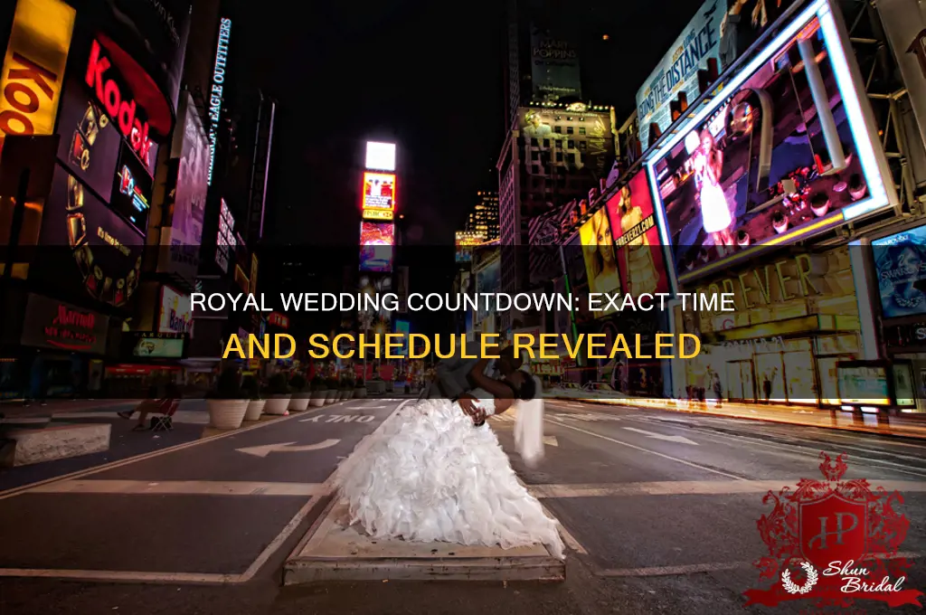 what actual time is the royal wedding