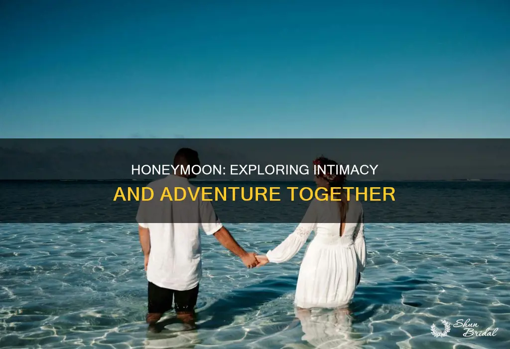 what actually happens in honeymoon