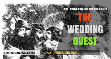 The Mariner's Haunting Advice to the Wedding Guest: A Tale Unveiled