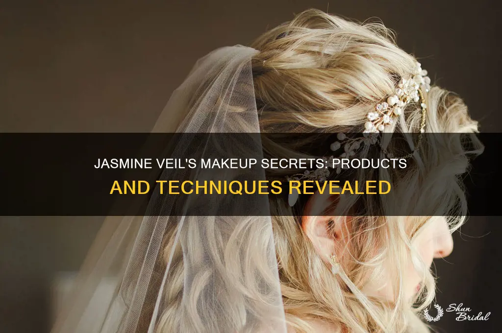 what akeup does jamsine veil use