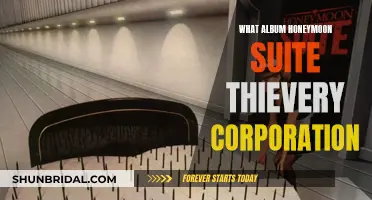 Honeymoon Suite's 'Thievery Corporation': A Musical Collaboration Unveiled