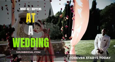 Wedding Day: A Step-by-Step Guide