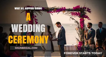 From Vows to Rings: Unveiling the Heart of a Wedding Ceremony