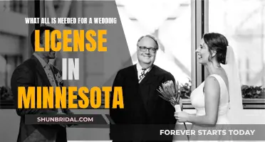 Minnesota Wedding License: Requirements and Essentials