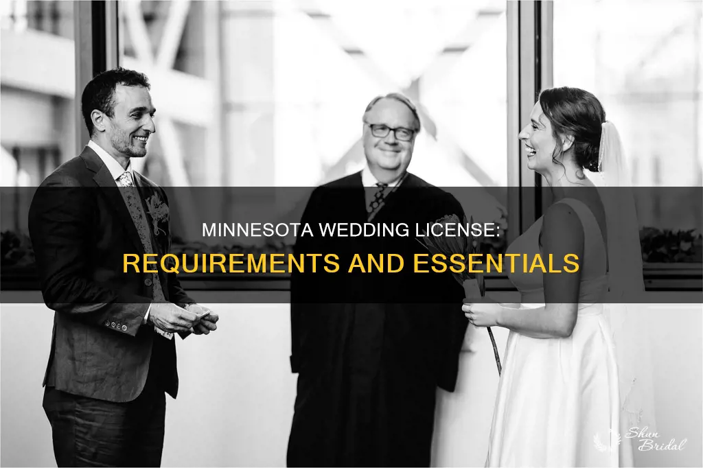 what all is needed for a wedding license in minnesota