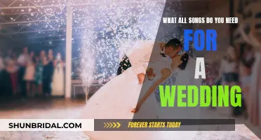 Songs to Celebrate: A Wedding Playlist Guide