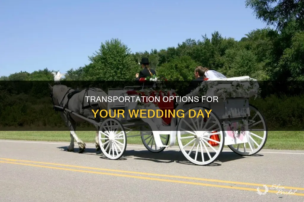 what all transpotation do I need for my wedding