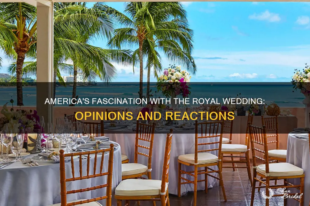 what america thinks of the royal wedding