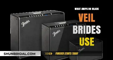 Black Veil Brides' Amp Setup: Unveiling Their Signature Sound