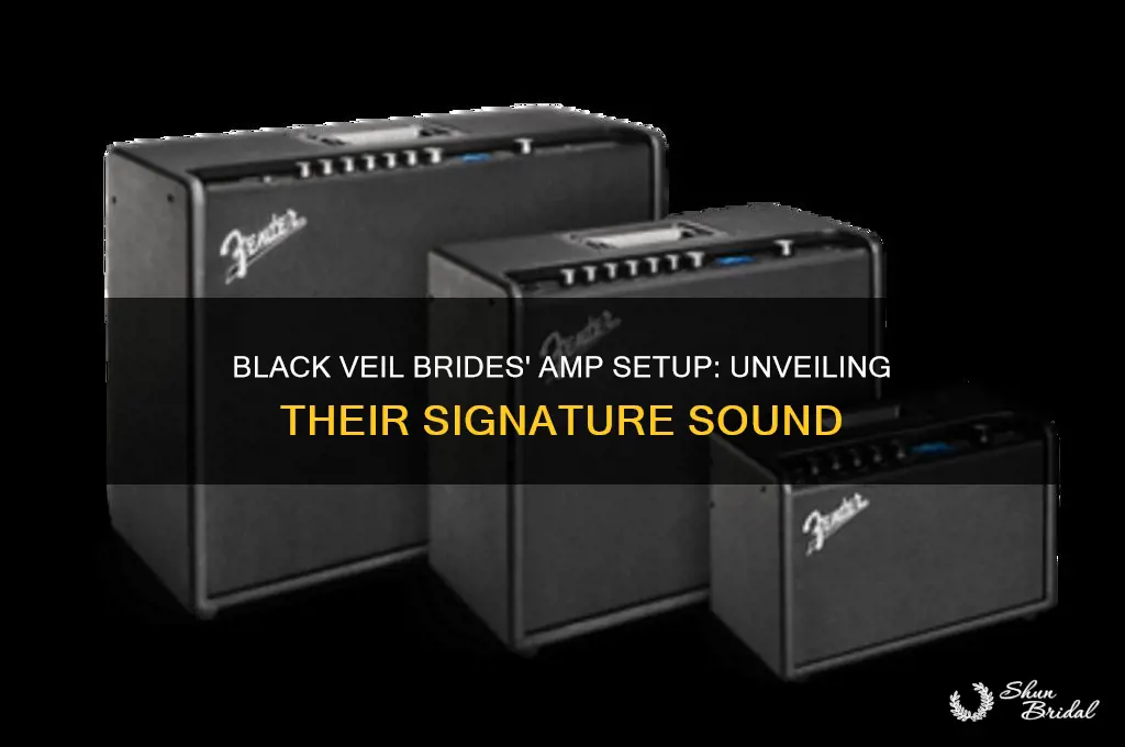 what amps do black veil brides use