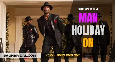 Best Man Holiday: Stream and Watch on These Apps