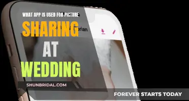 Best Apps for Wedding Photo Sharing
